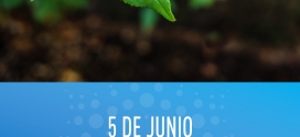 Día del Medioambiente