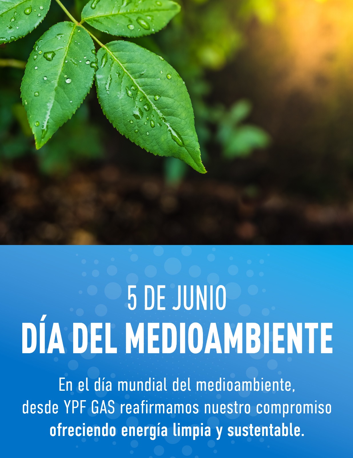 Día del Medioambiente
